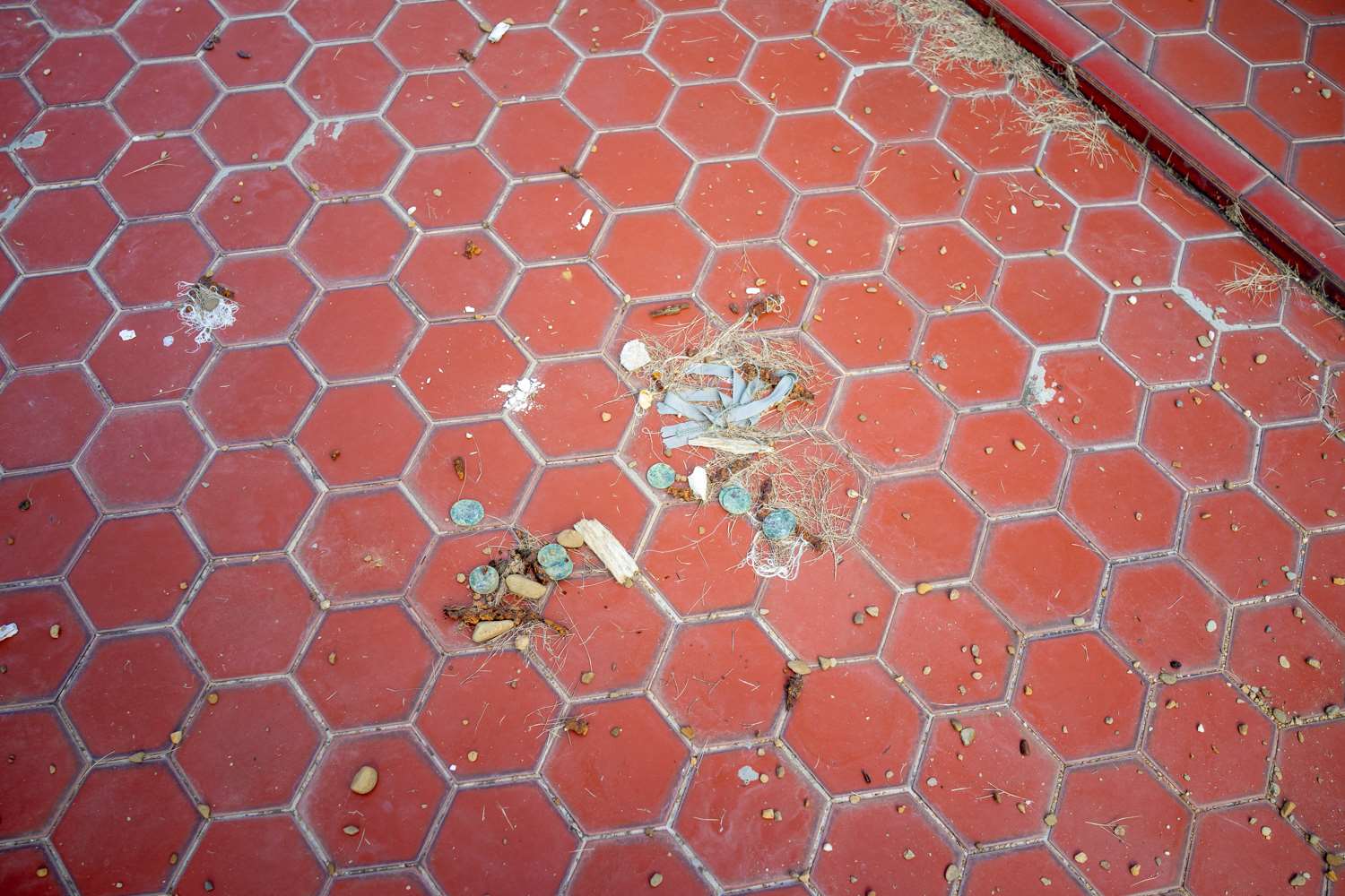 La famille n'a pas emporté des pièces de monnaie qui étaient dans le cercueil (photo : Sasa)