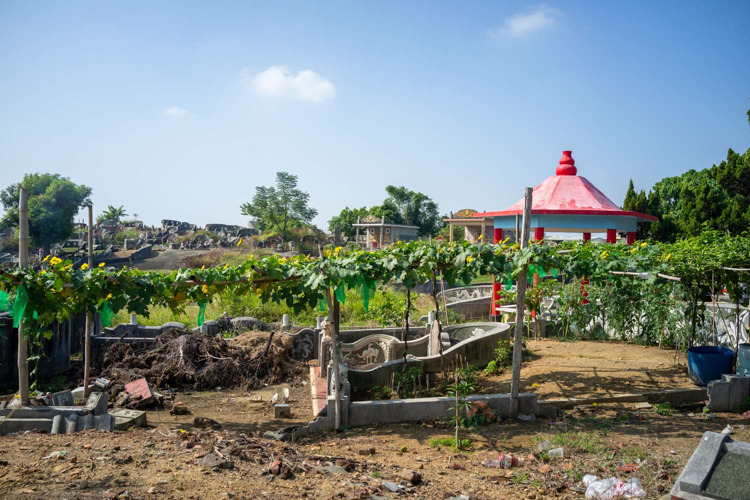 Ou encore des légumes ! (photo : Sasa)