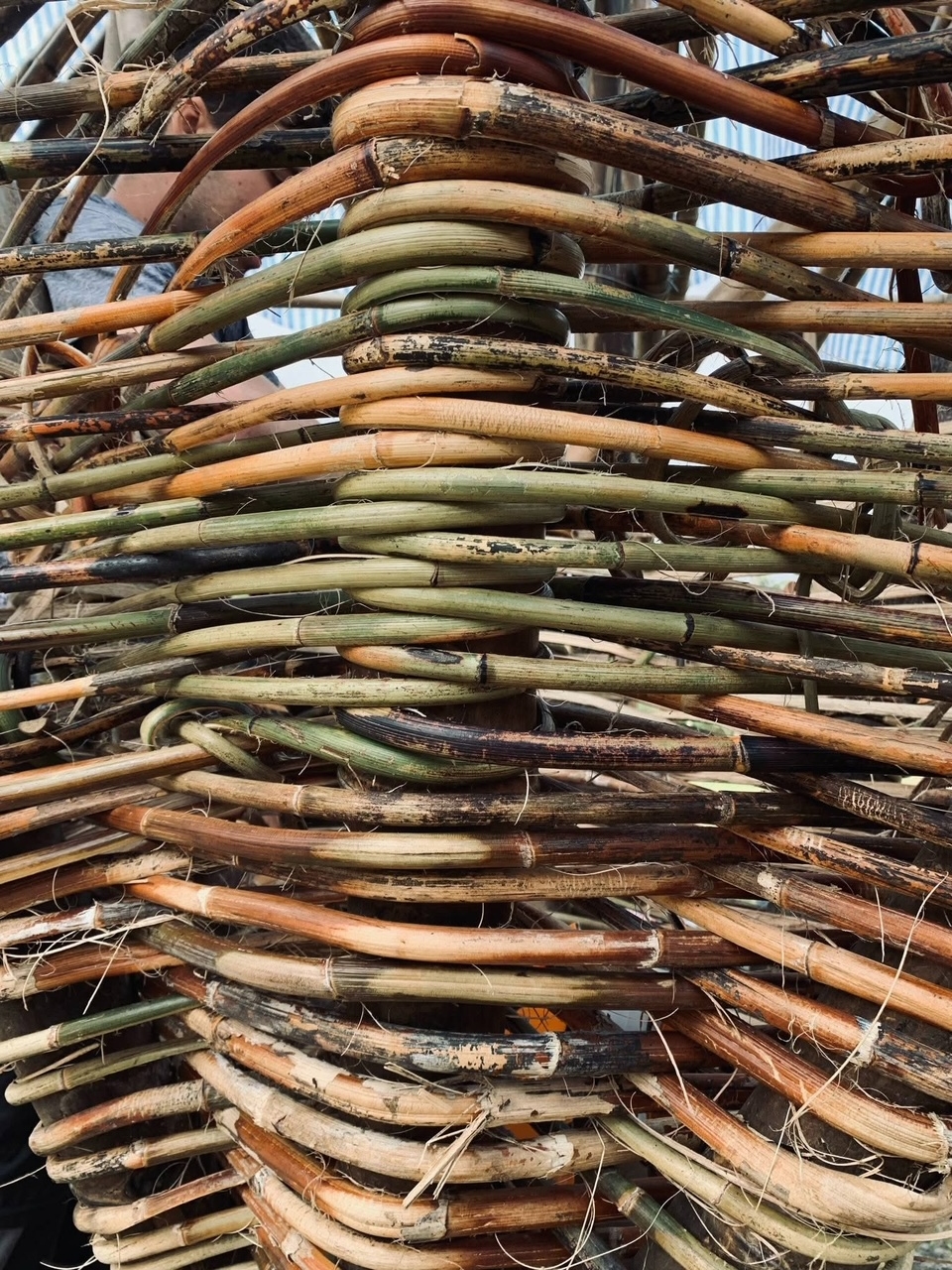 Le rotin qui contient les pierres des fondations (photo : Stella Wu)