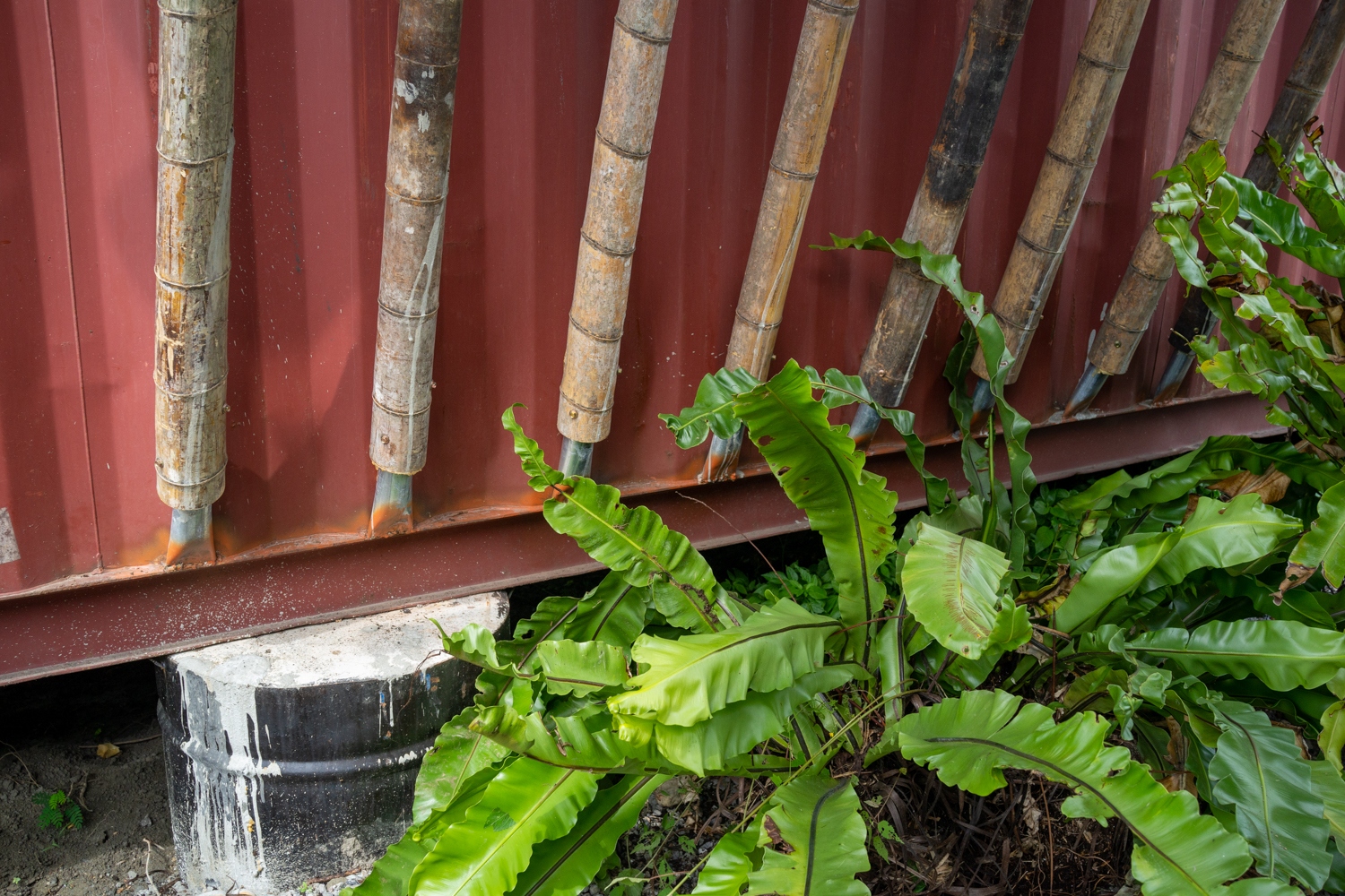 Pataminaan (le dock) de l'architecte Wang Po-jen (photo : Sasa) 