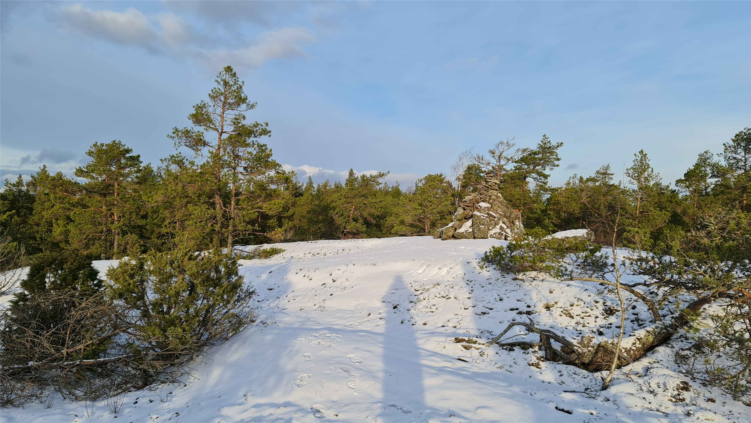 Les forêts de Finlande inspirent la création musicale de Barbora (photo Barbora Xu, FB)