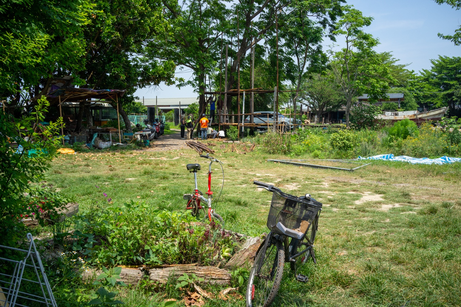 Les herbes aromatiques à côté de la cuisine et la cabane en construction au fond. Malheureusement, avec le passage du typhon Danas récemment, il y a du travail pour remettre tout en ordre désormais (photo : Sasa)