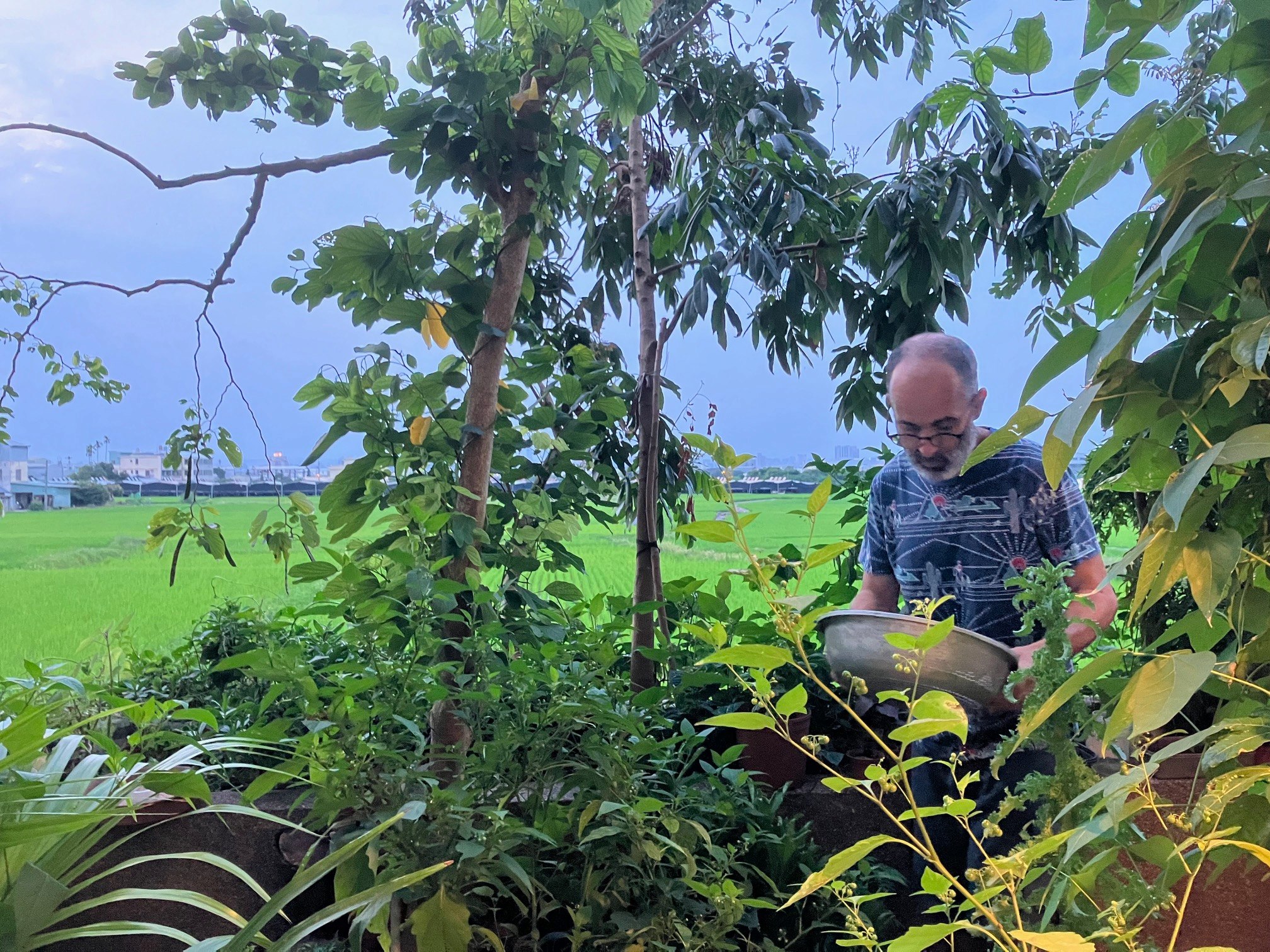 Florent fait la cueillette pour sa salade sur son balcon (photo : Sasa)