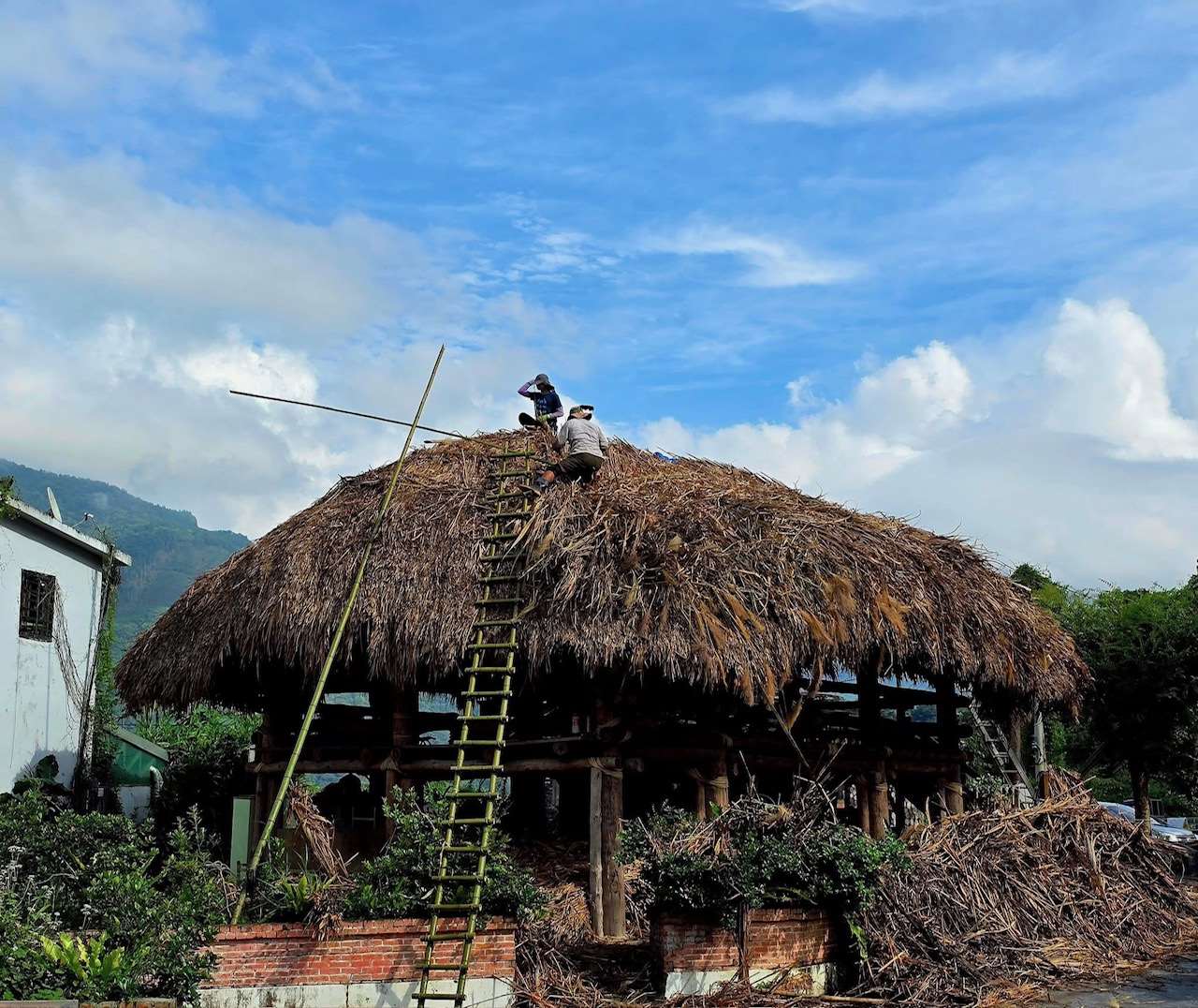Réfection du toit en chaumedu Hufu dans la cour de l'école de Jiumei, Nantou (photo : Sasa) 