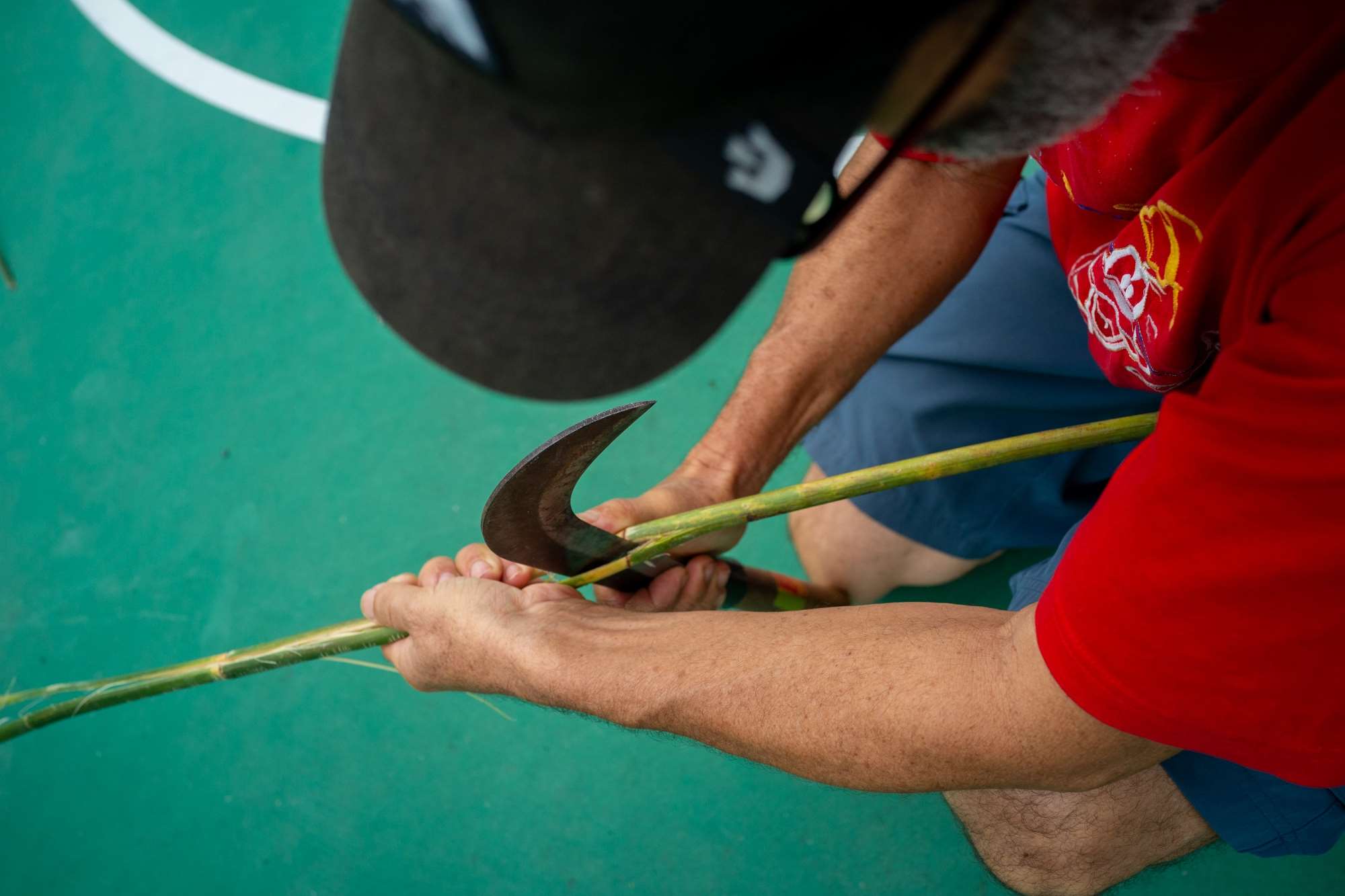 C'est une opération périlleuse car cela n'est possible que la lame du couteau tournée vers soi (photo : Sasa)