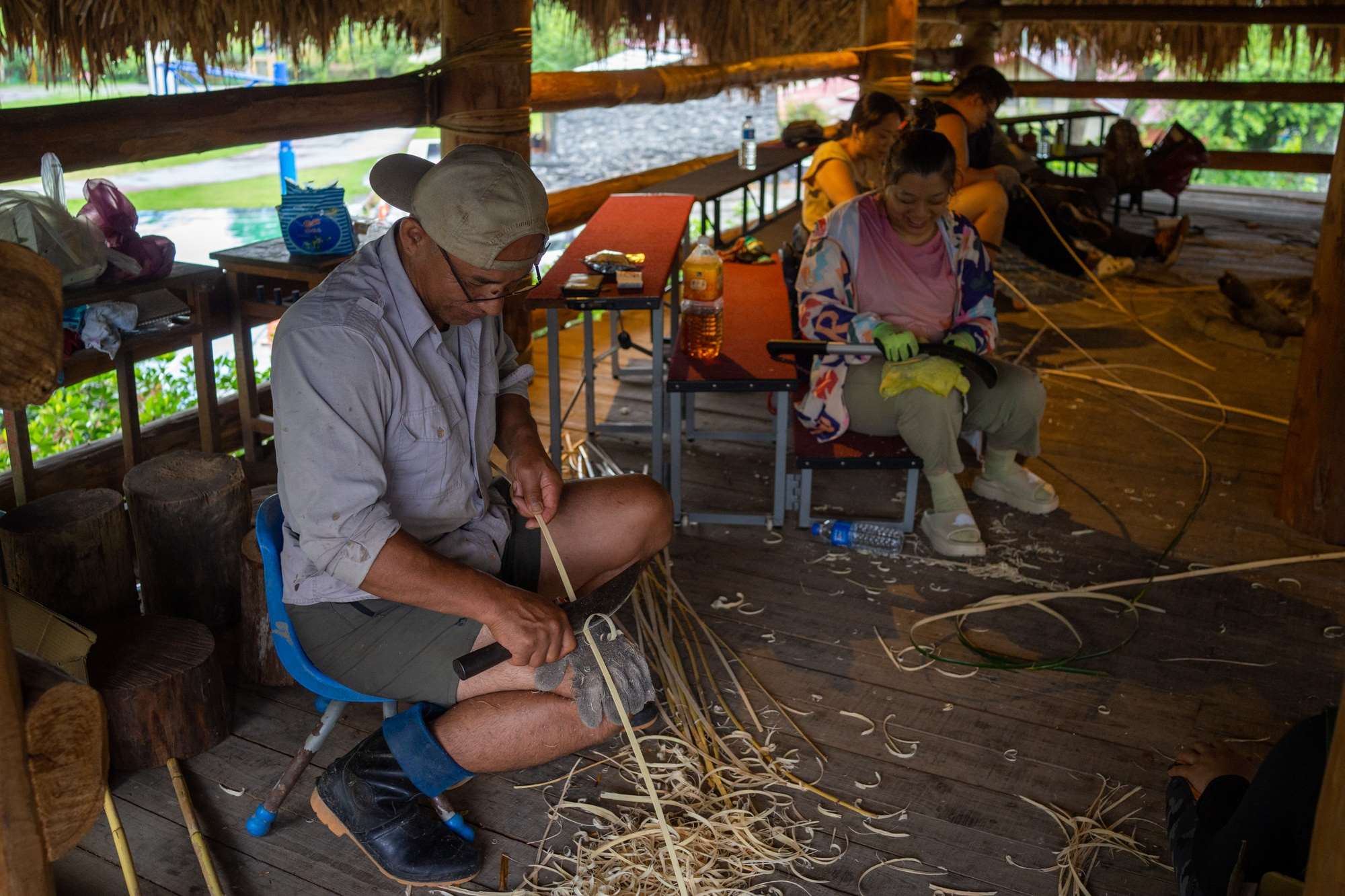 Pelage du rotin (photo : Sasa)