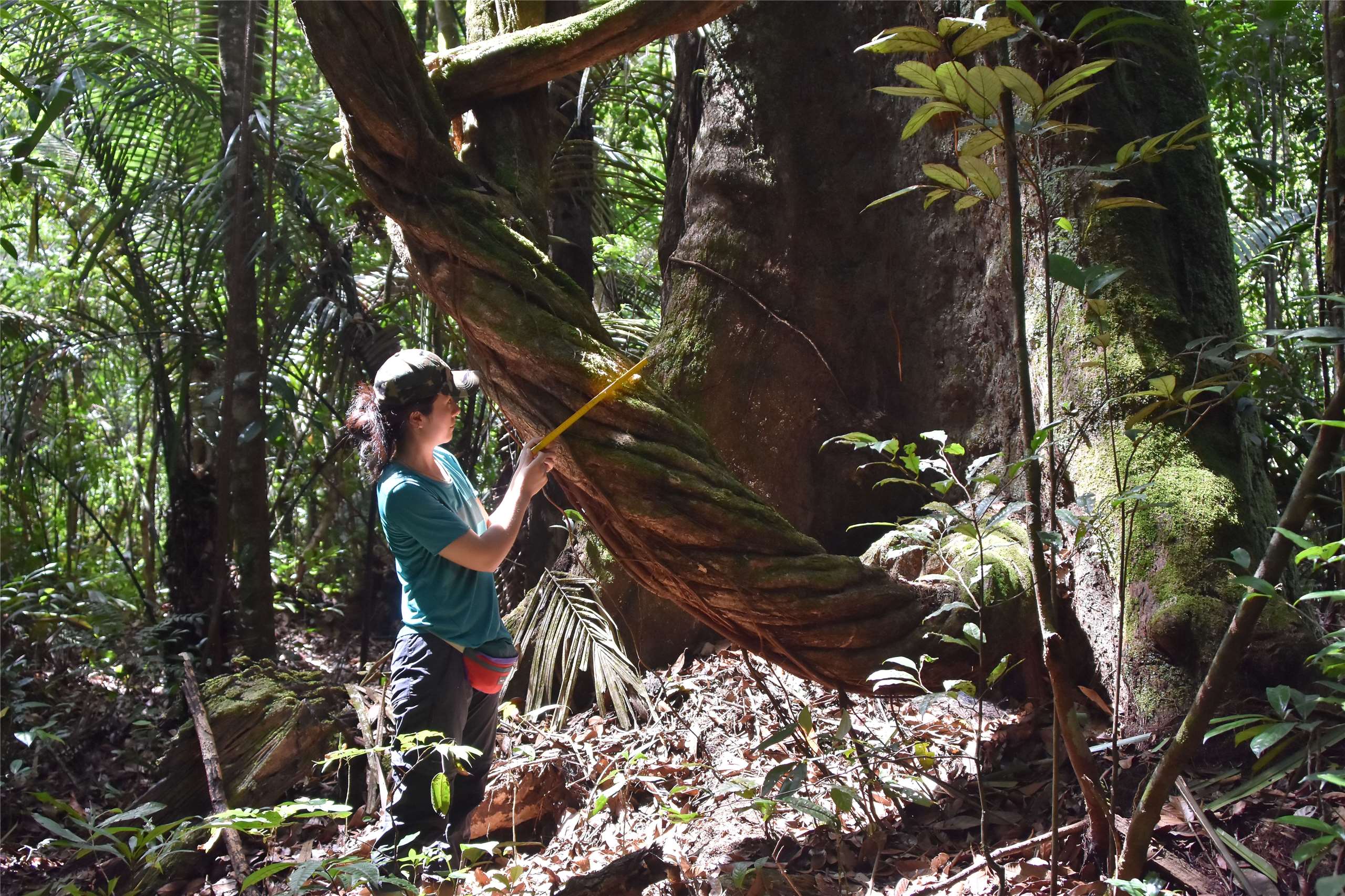 Lily en Guyane (photo Nick Rowe, fournie par Lily)
