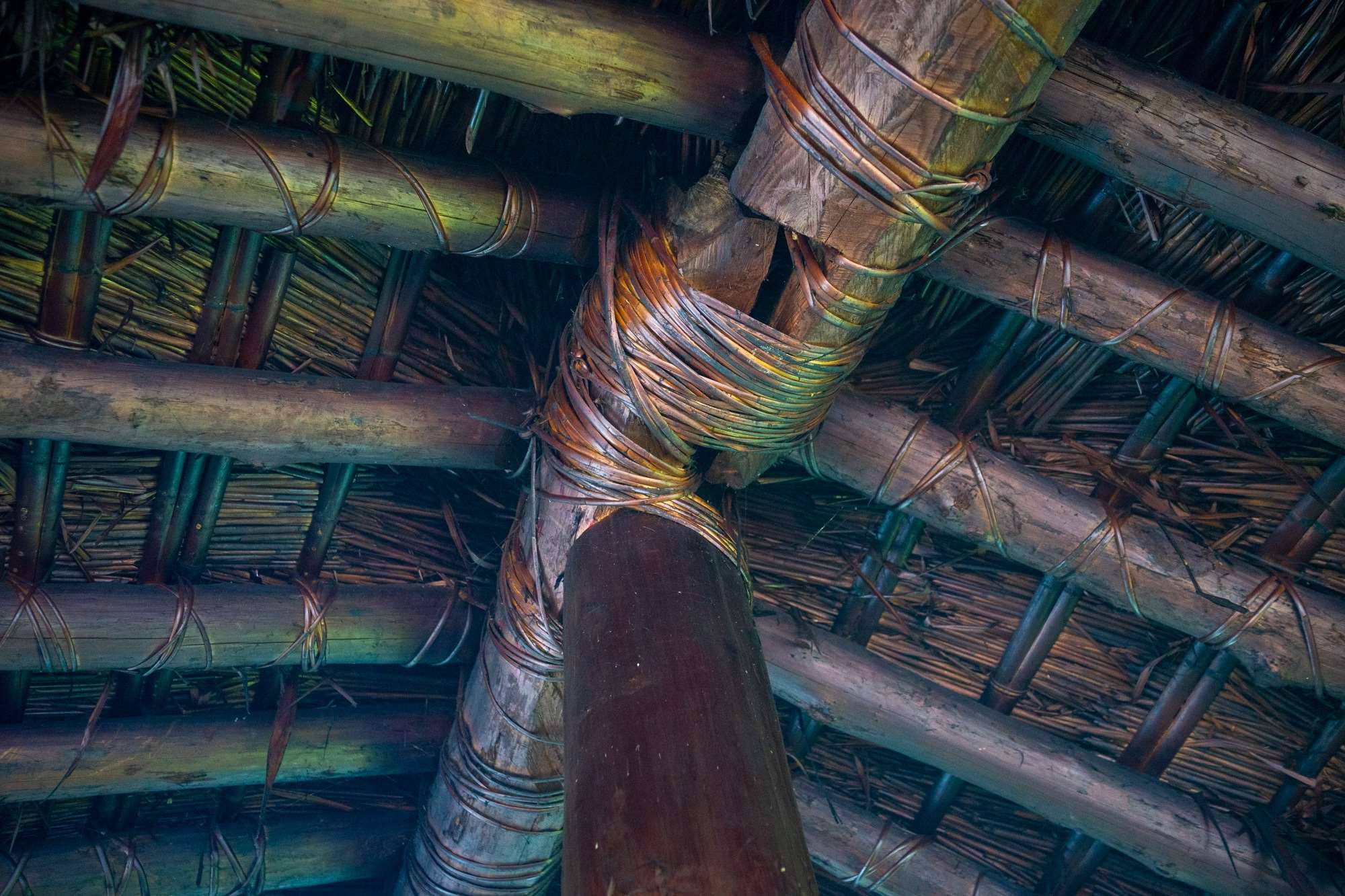 La structure en bois soutient le toit en chaume qui pèse environ 6 tonnes, donc elle doit être à la fois solide et flexible pour résister aux séismes (photo : Sasa)