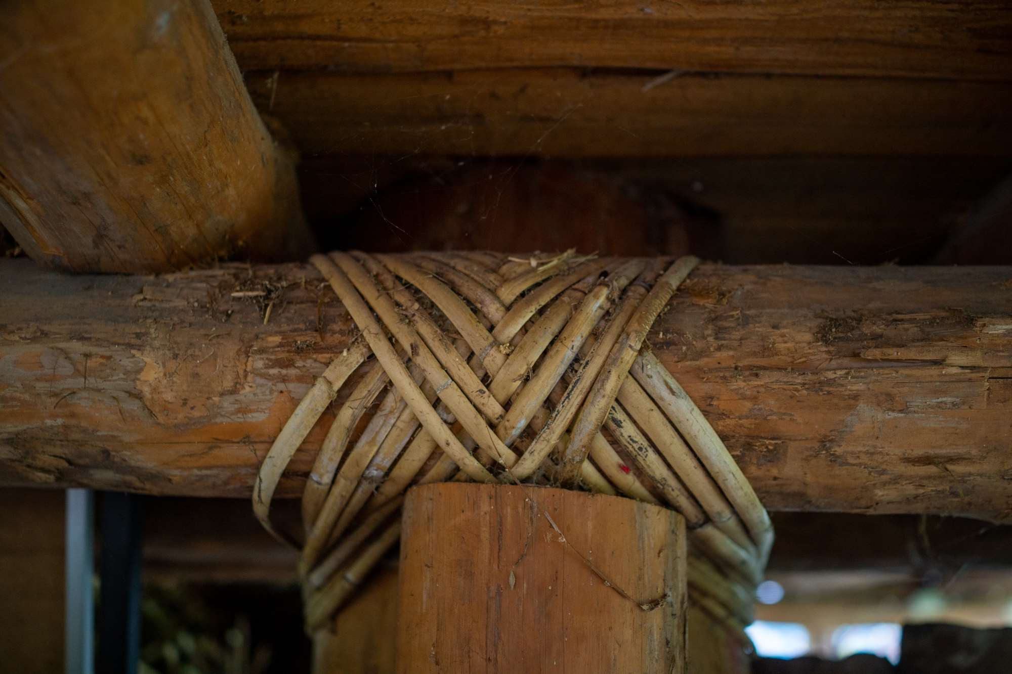 Magnifique noeud en rotin (photo : Sasa)