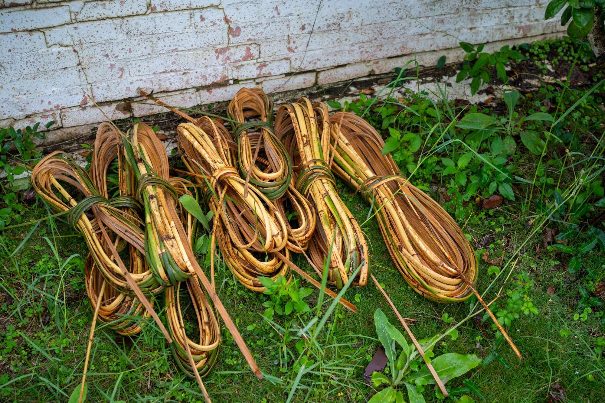 Le rotin en cours de préparation (photo : Sasa)