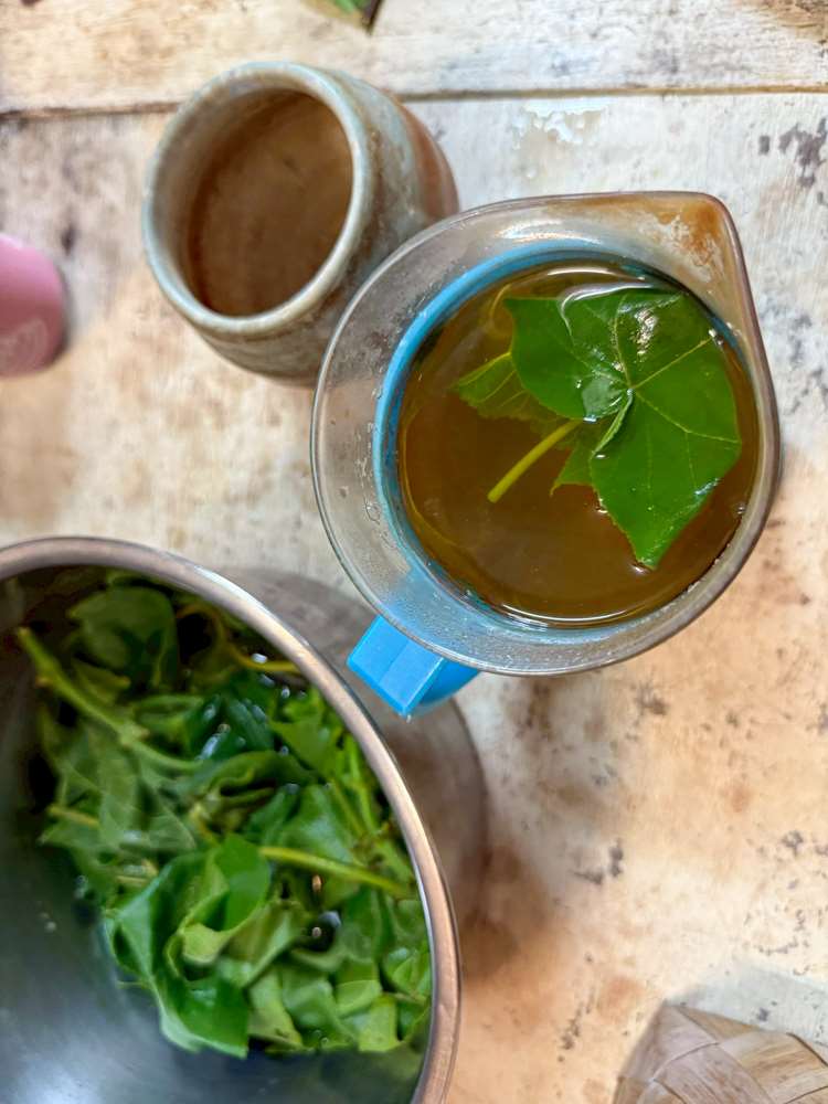 Les feuilles de mûrier en papier peuvent se consommer en infusion ! (photo : Sasa / RTI)