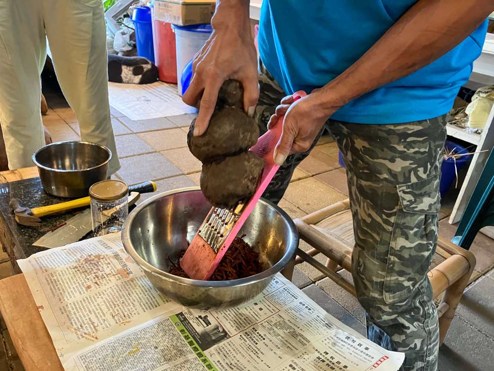 Préparation du Dioscoréa Cirrhosa (薯榔) surnommé igname à teinture (photo : Sasa / RTI)