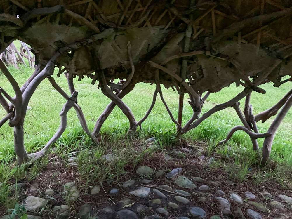 Dans une hutte en bois flotté, recouverte de paille mélangée à de la bouse de vache (photo : Sasa / RTI)
