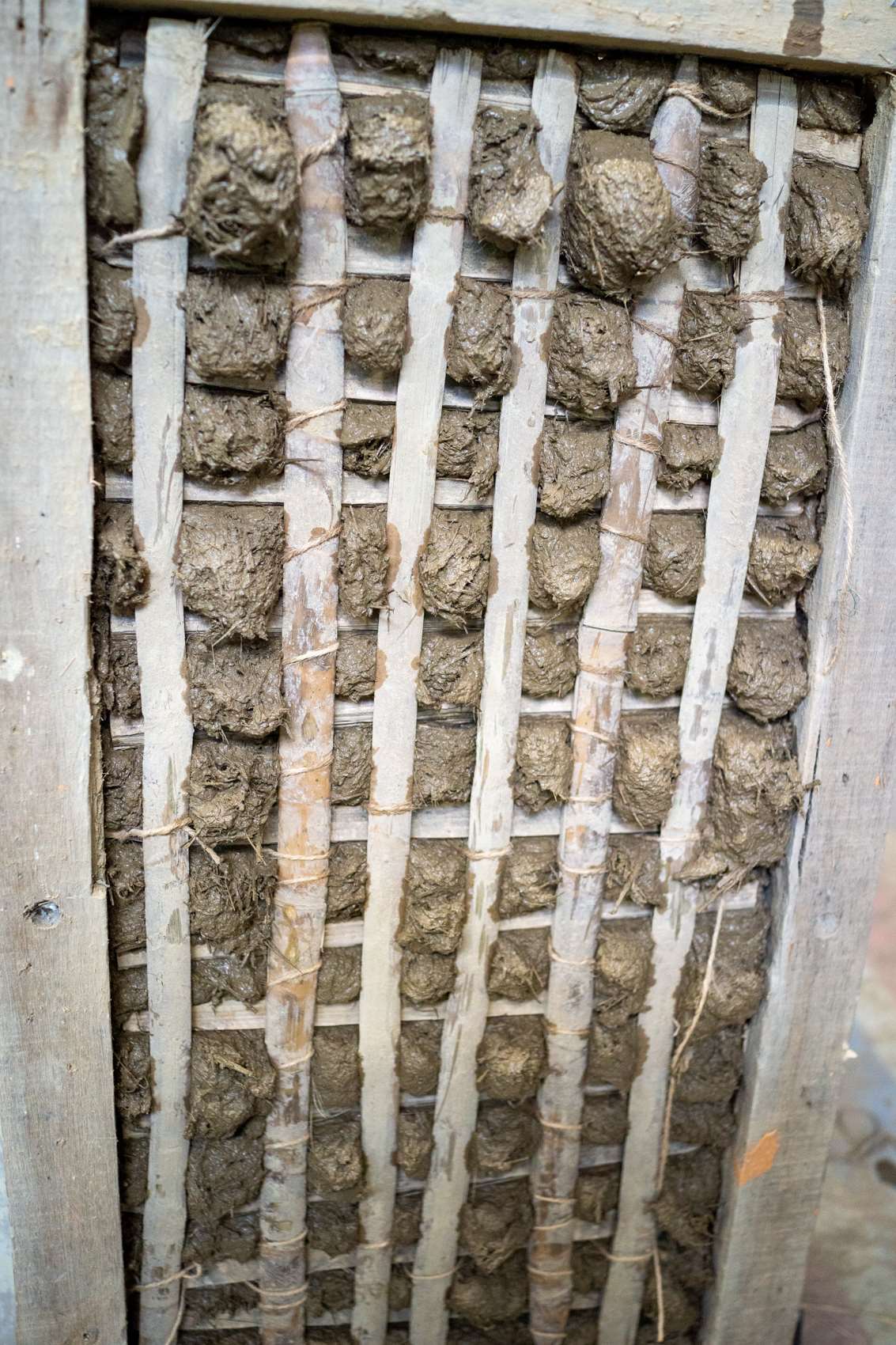 L'idéal ce sont des trous de 4 cm, pour que non seulement la terre des deux côtés adhère, mais aussi les fibres (photo : Sasa) 