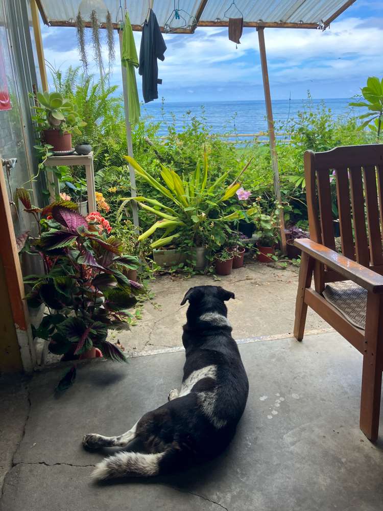 Au Studio Paterongan (photo : Sasa / RTI)