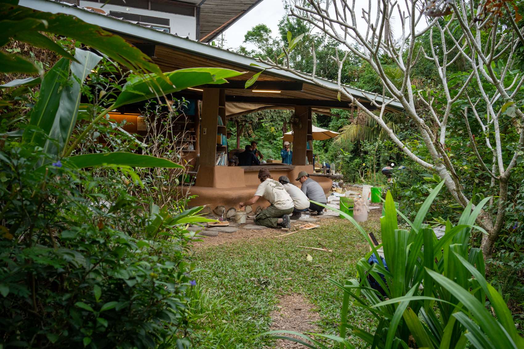 Quel plaisir de travailler dans un si bel environnement ! (photo : Sasa) 