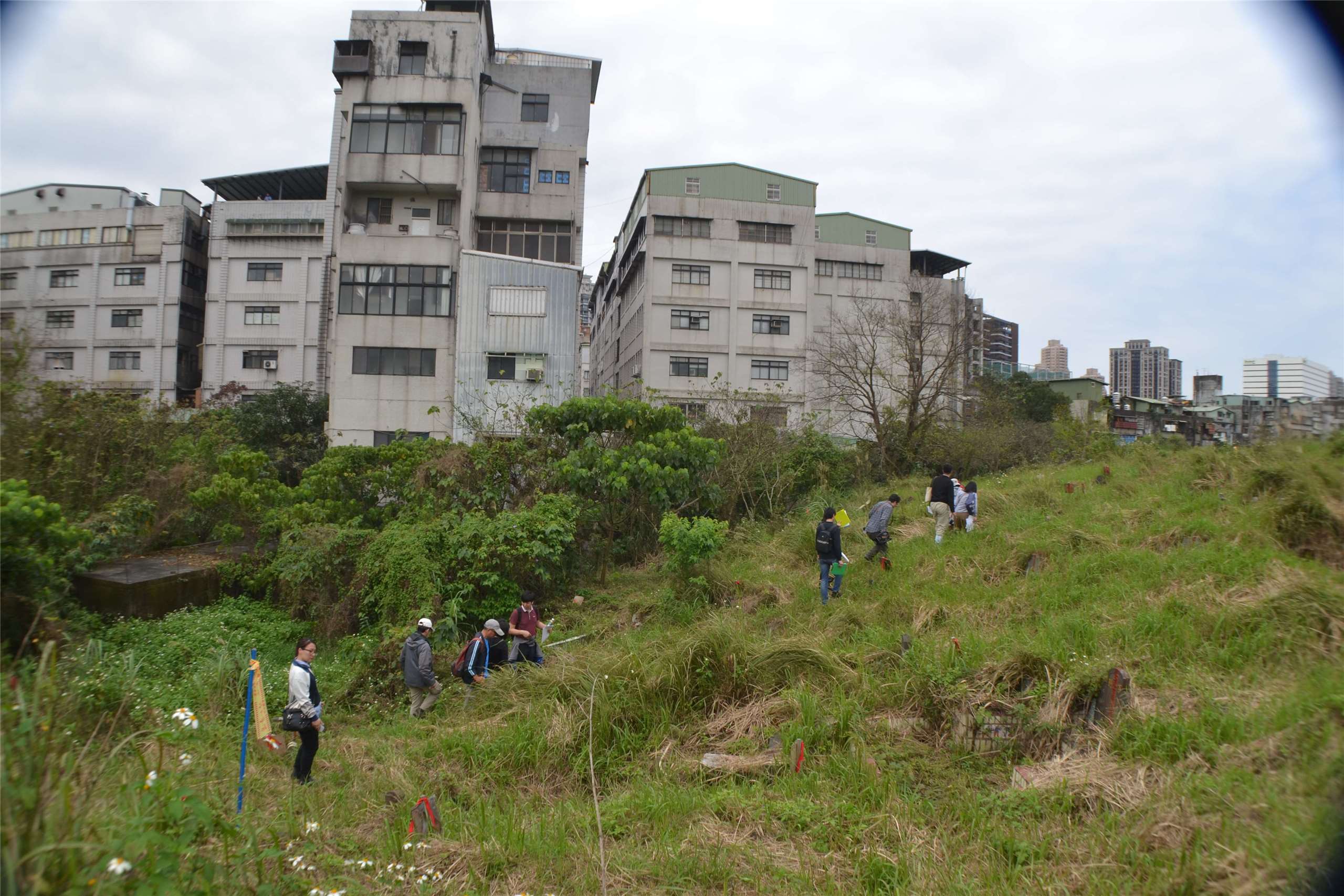 Des personnes souhaitant la préservation du site font visiter le cimetière public numéro 1 de Xindian aux inspecteurs municipaux en mars 2018 (photo : James X. Morris) 