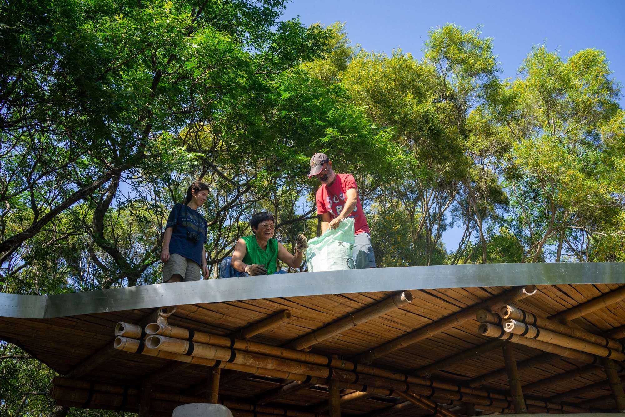 Ramassage des feuilles mortes sur le toit (photo : Sasa)