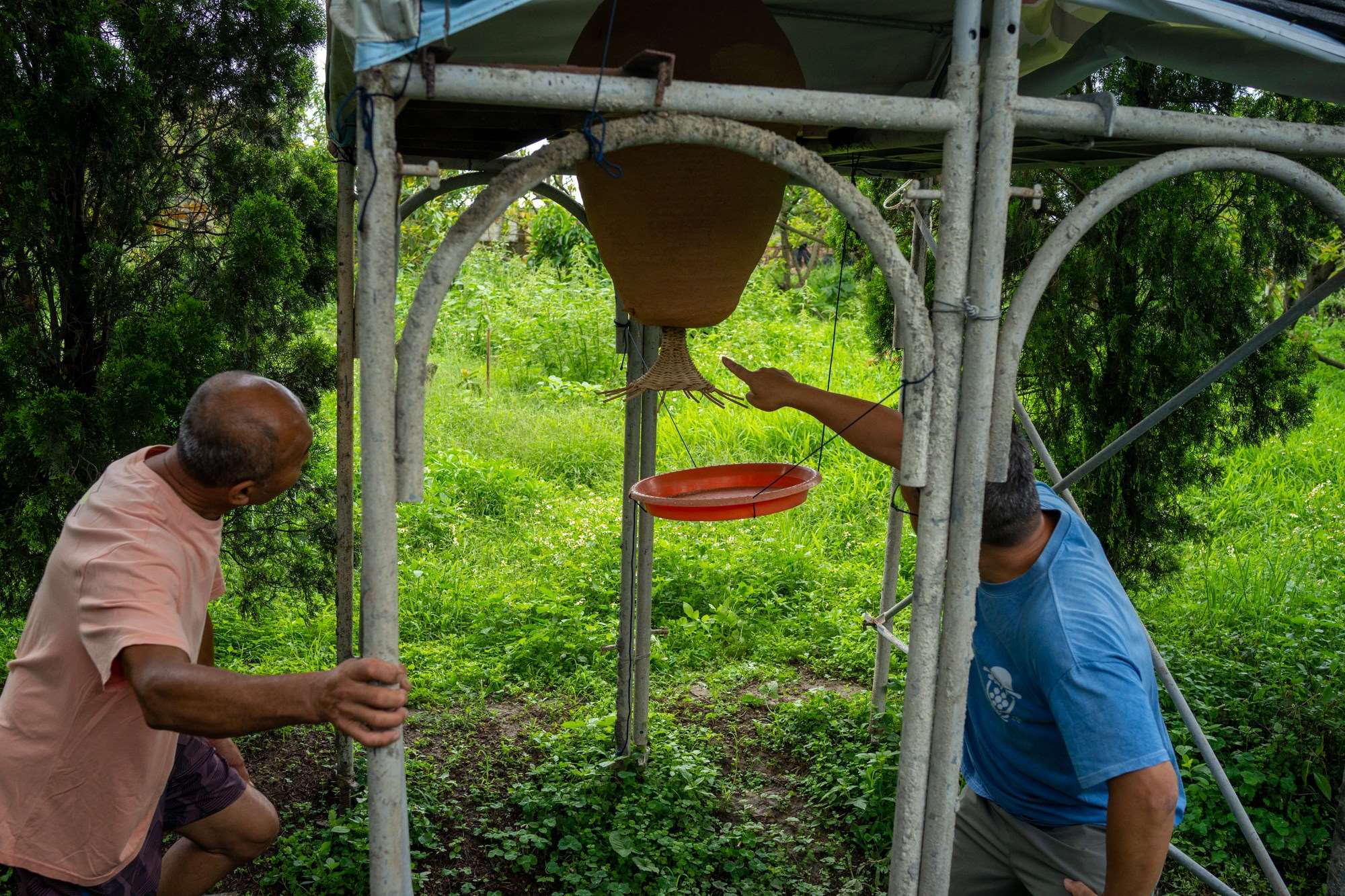 Liao Yi-chang (à gauche) a installé une ruche solaire dans sa plantation d'avocats bio (photo : Sasa / RTI)