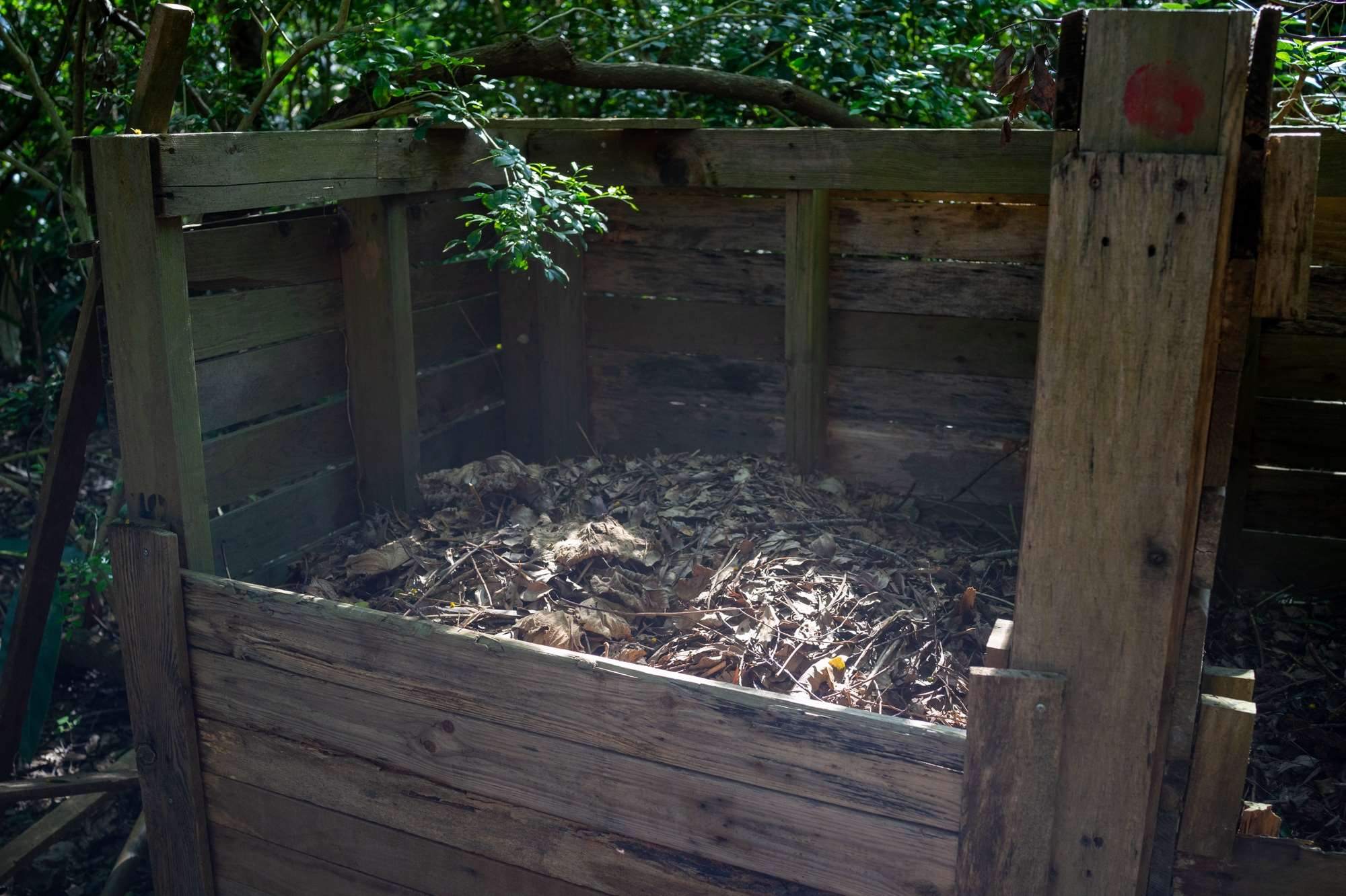 Pour faire du compost ! Les humains peuvent aussi régénérer la terre de cette manière (photo : Sasa)