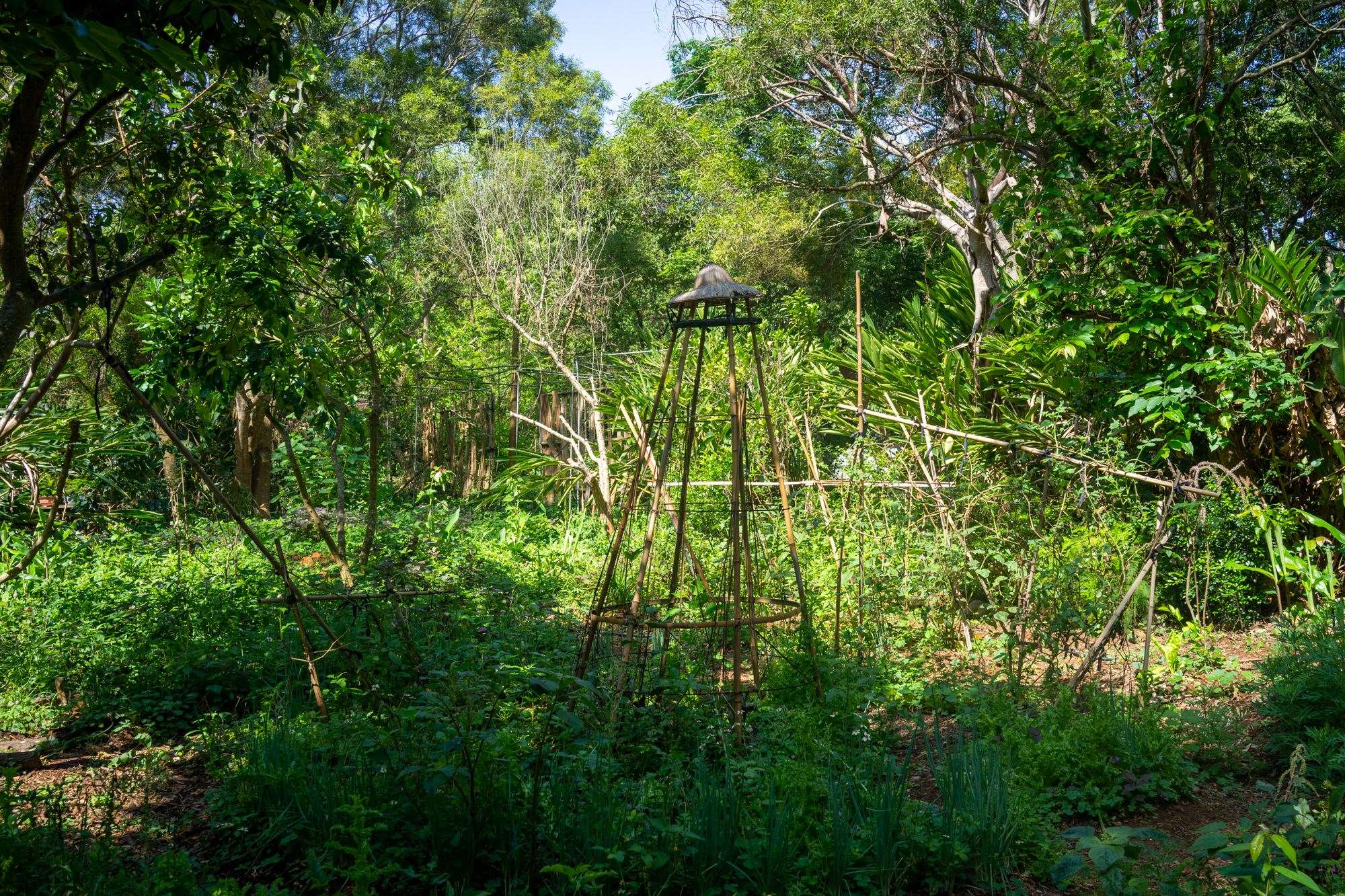 La maison goutte, c'est aussi un jardin potager ! (photo : Sasa)