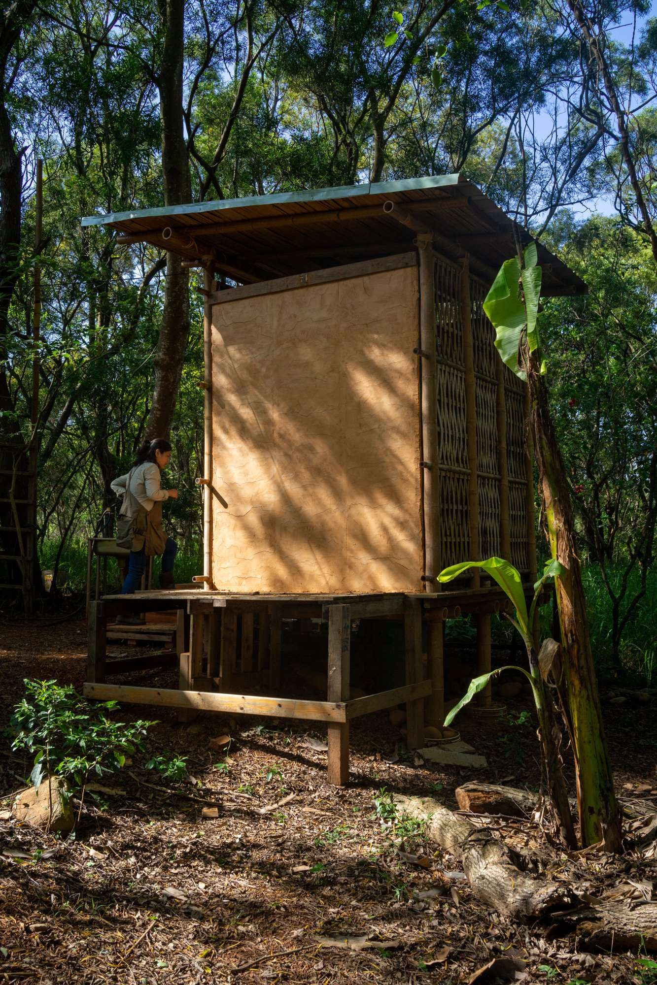Les toilettes sèches vues de dos (photo : Sasa)