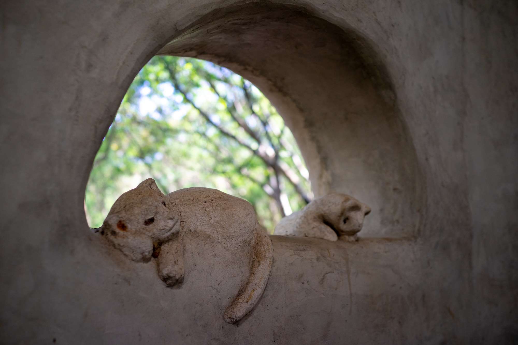 De petits chats nous invitent à la nonchalance ! (photo : Sasa)