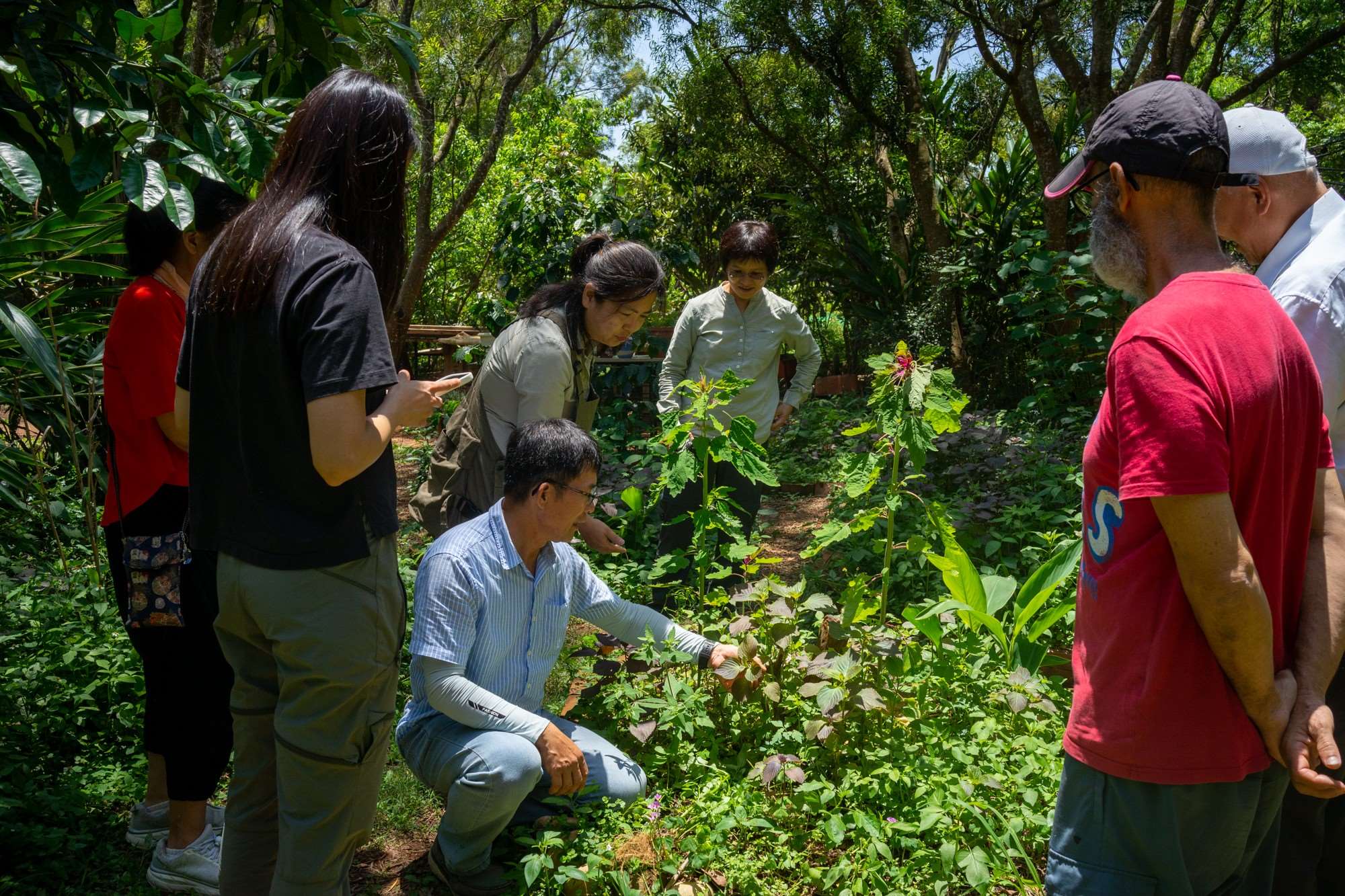 Visite du jardin potager (photo : Sasa)