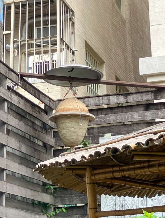 Une ruche solaire à Yunlin Story House (photo : Sasa / RTI)