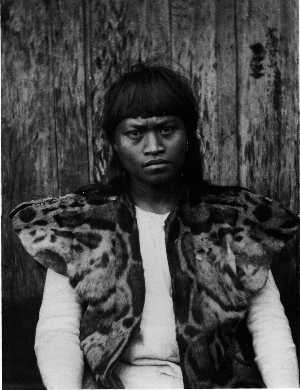 Un autochtone taïwanais, probablement Rukai, portant un vêtement en peau de panthère nébuleuse ; photo prise par l'anthropologue Torii Ryūzō autour de l'an 1900 (photo Wikipedia)