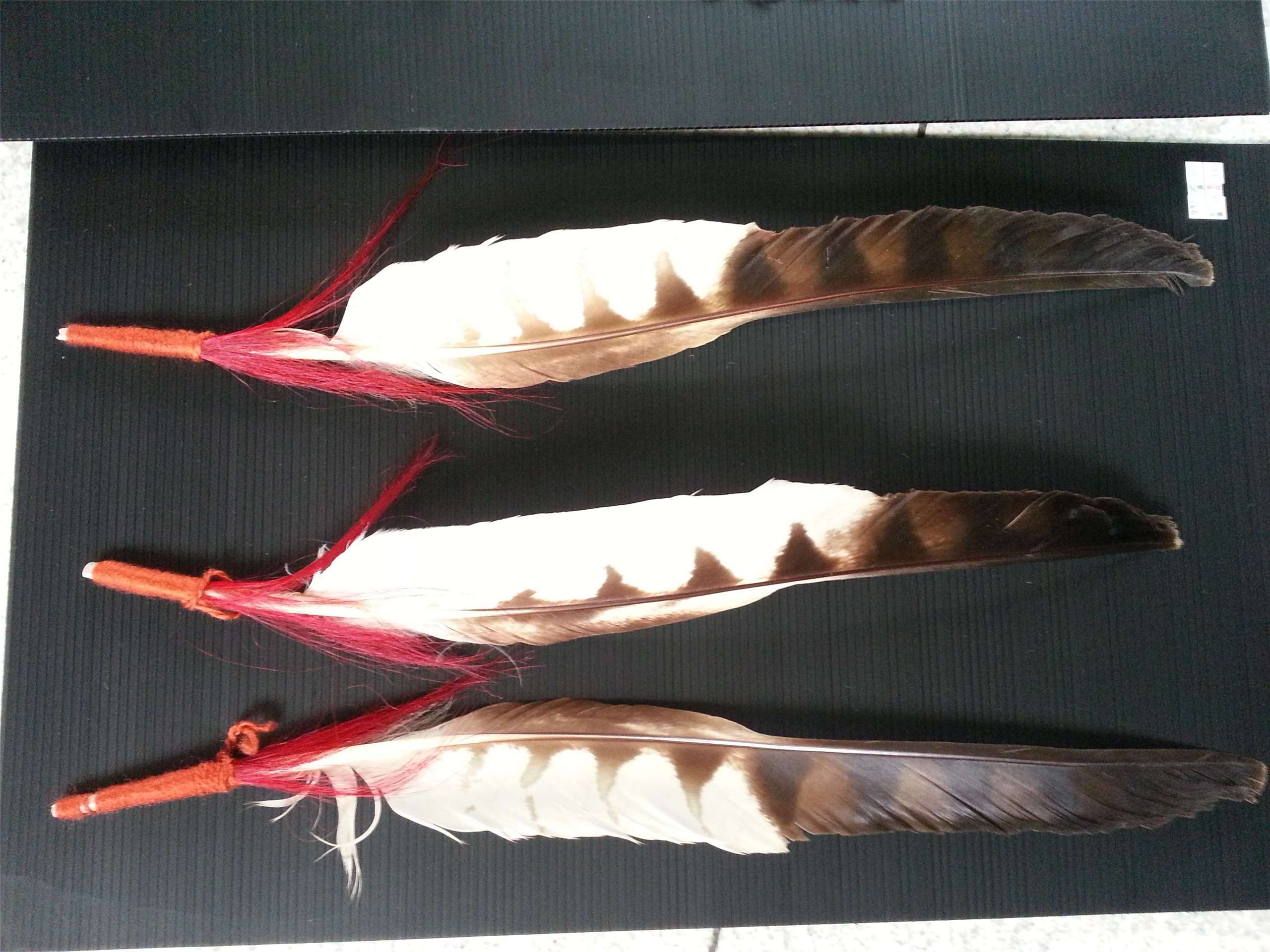 Plumes d'aigle montagnard, utilisées comme signe de distinction sociale par les Paiwan et les Rukai notamment (photo Agathe Lemaître)