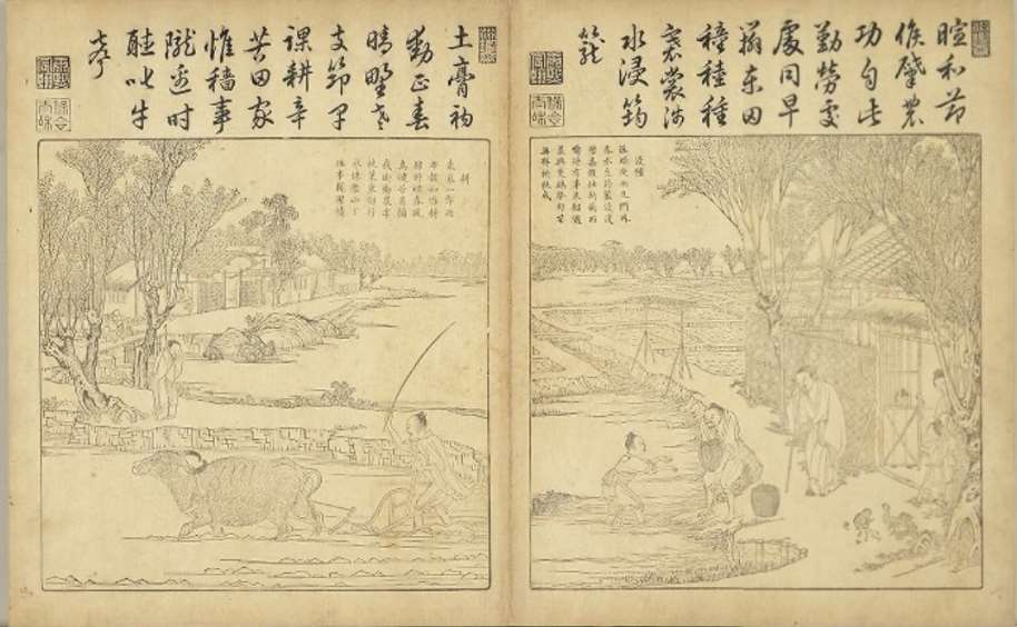 Image 2: Scènes agricoles et scènes de tissage (source MNP)