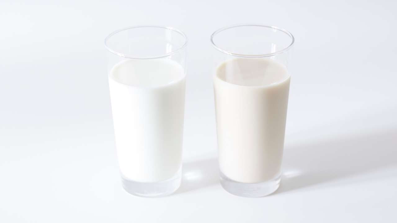 AD Susu (Foto: Canva)