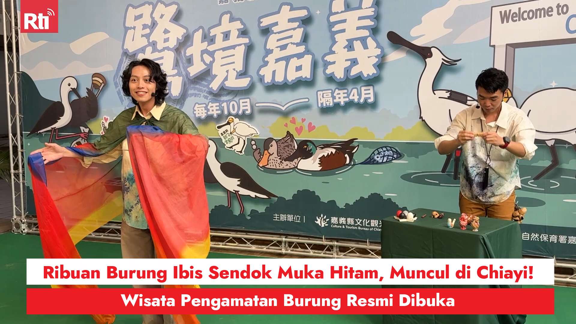 Ribuan Burung Ibis Sendok Muka Hitam, Muncul di Chiayi!Wisata Pengamatan Burung Resmi Dibuka (RtiSI)