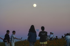 Penantian Dingin Berakhir? Pakar Meteorologi Ungkap Kapan Suhu Akan Anjlok Drastis (CNA)