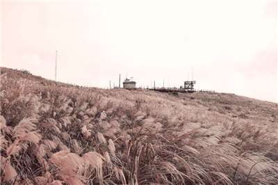 panorama silvergrass (foto: Dinas Pekerjaan Umum Pemkot Taipei)