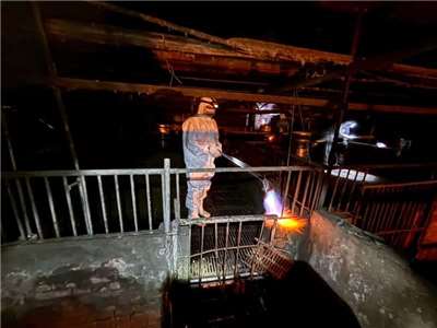 WOAH Terima Laporan Taiwan, Syarat “Status Bebas Demam Babi Afrika” Harus Bebas Terkontaminasi 