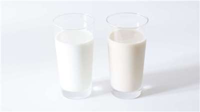 AD Susu (Foto: Canva)