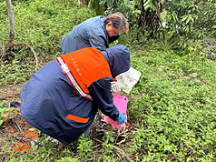 Kasus demam berdarah lokal telah dilaporkan di Distrik Xizhi, Kota New Taipei. Dinas Kesehatan Kota New Taipei mengumumkan bahwa Distrik Xizhi telah mencatat kasus demam berdarah lokal pertama di kota tersebut tahun ini. Warga diimbau membersihkan tempat genangan air baik dalam dan di luar rumah  setelah hujan, yang bertujuan mencegah perkembangbiakan nyamuk. (foto: Dinas Kesehatan Pemkot New Taipei)