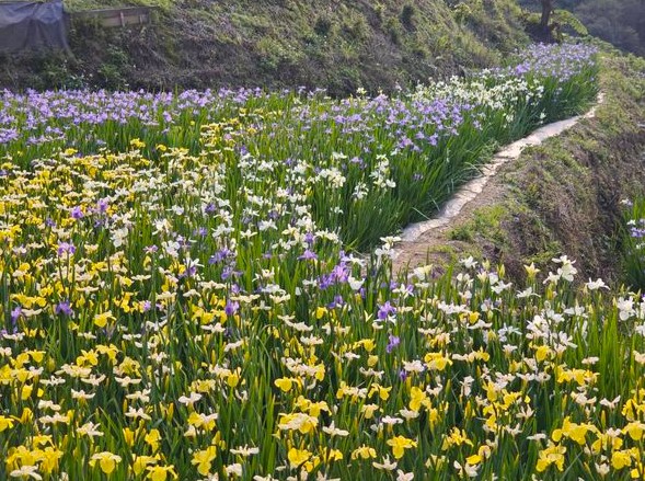 foto: New Taipei City Agriculture Bureau