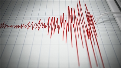 Langka! Ikan Pertanda Gempa Muncul di Australia! Warga Setempat Ramai Membahas 圖:PIXABAY
