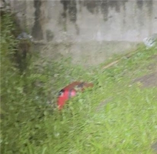 Xinzhuang, New Taipei, Dikejutkan dengan Kasus Mayat dalam Koper: Pria 50 Tahun Tewas Tragis 圖：警方提供