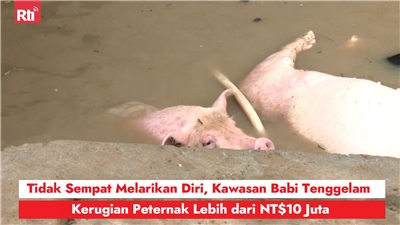 圖:RtiSI