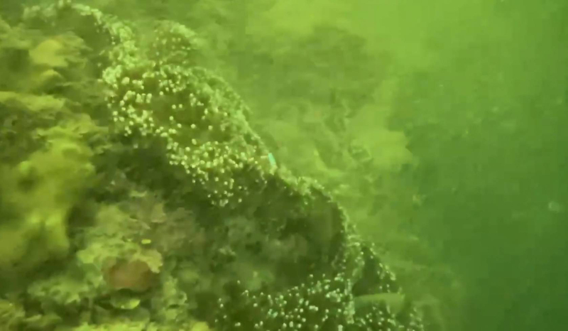 Hujan deras telah menyebabkan perairan Kenting keruh, secara signifikan mengurangi jarak pandang. 