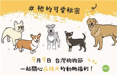 Di Taiwan pada tanggal 9 September dikenal sebagai "Hari Anjing" (foto: situs Environment & Animal Society of Taiwan)