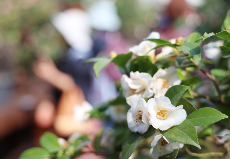 Waspada, Udara Dingin Tiba Malam Ini! Suhu Akan Terus Turun dengan Sensasi Dingin dan Lembap (CNA)