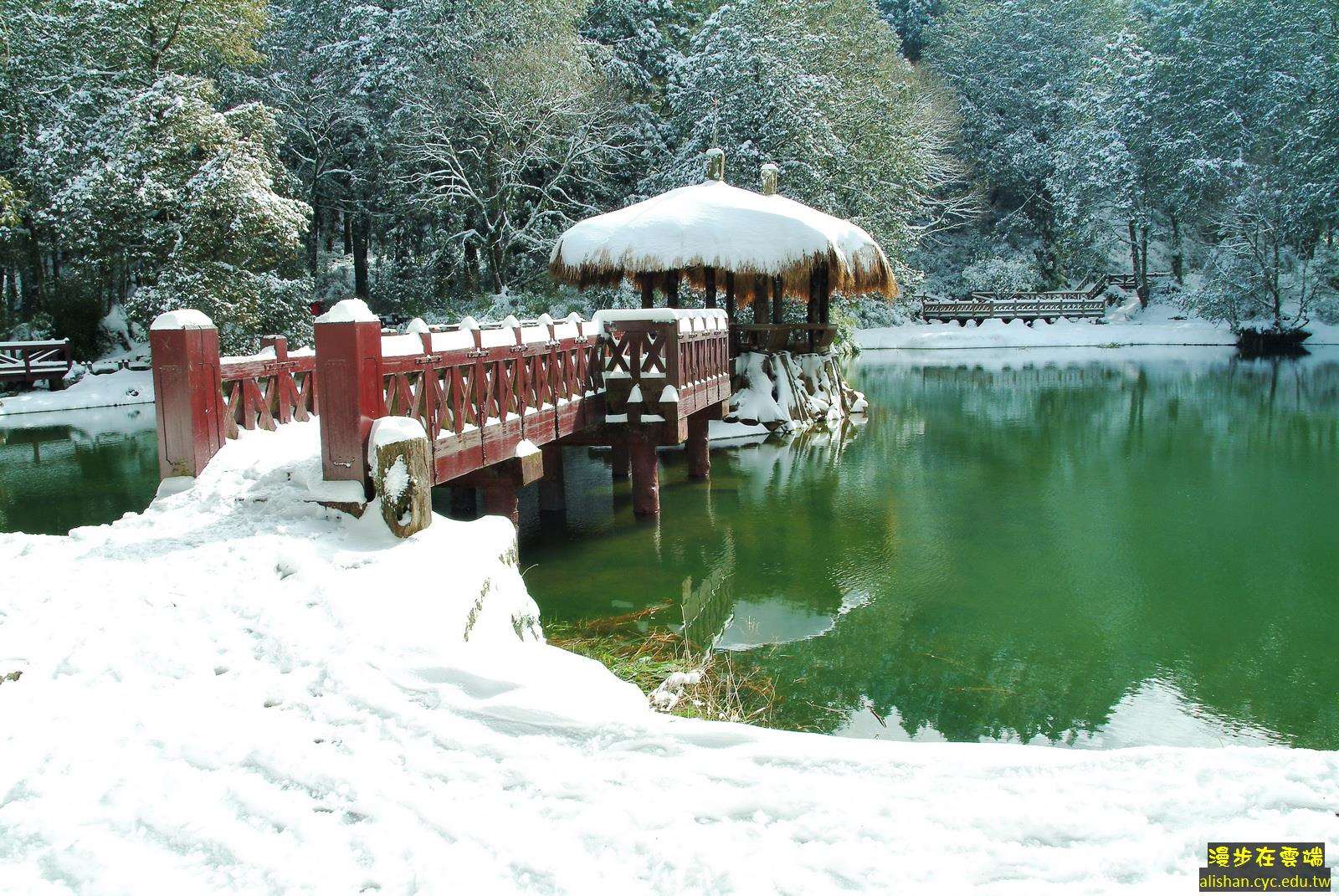 Danau adik kakak (Sister's Lake) di Alishan yang diselimuti salju pada Maret 2005 (foto: alishan.cyc.edu.tw)