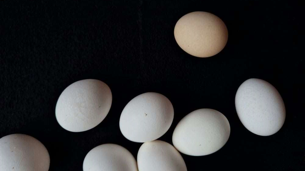 Satu Hari Maksimal Makan Berapa Telur Ayam? Jangan Salah Paham Lagi!! Dokter Taiwan: Pantangan Besar Bukan Pada Telur Ayamnya Tapi….   (Unsplash)