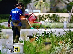 Peringatan Cuaca Dini, Suhu Anjlok Disertai Hujan, Potensi Gelombang Dingin Kuat Mengintai, Simak Prediksinya (CNA)