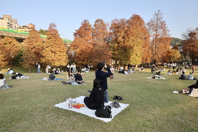Jangan Terlena Kehangatan Sesaat, Gelombang Dingin Kuat Mengancam di Akhir Pekan, Suhu Anjlok Hingga 9C (CNA)